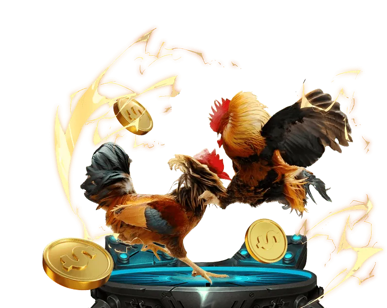 Giấy phép hoạt động và quy định pháp lý của Saowin